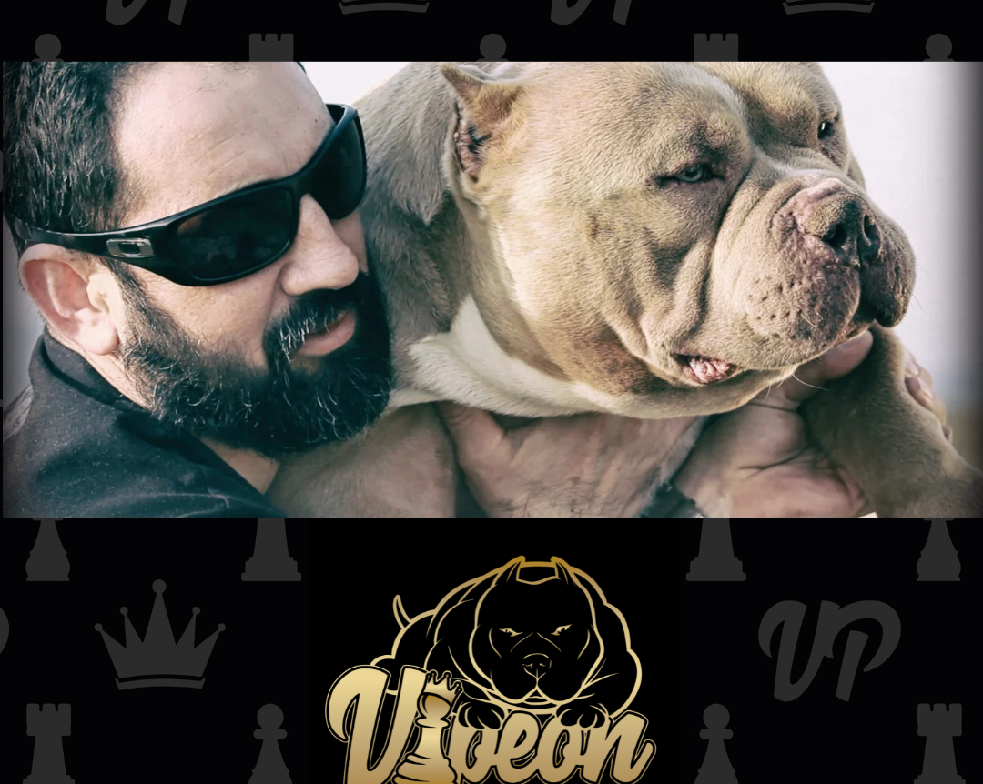 Introducing VIPEON